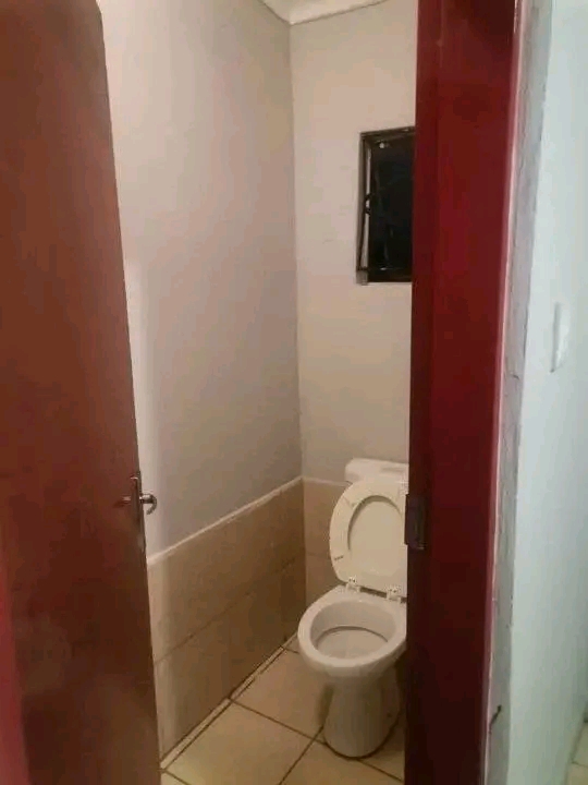 An open plan room  with a shower, basin and t  in Birch Acres