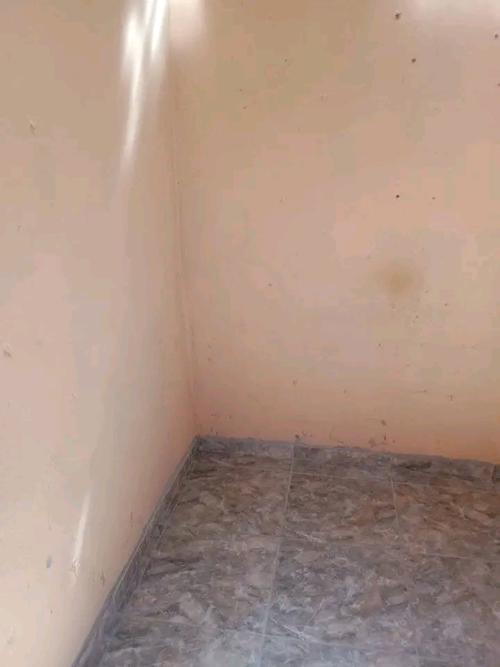 Room available at ivory park 3 ma10
swaz in   in Ivory Park
