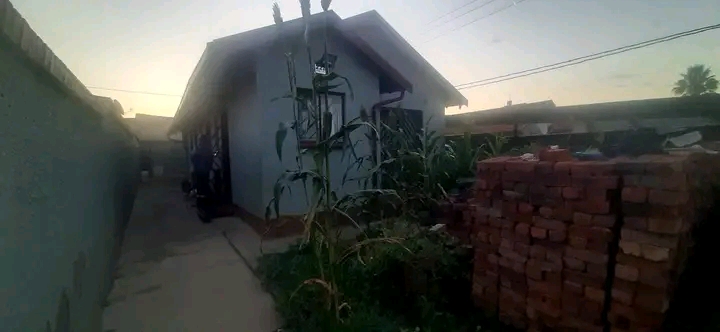 2 bedroom house to rent in ext 5
immediately  in Ebony Park