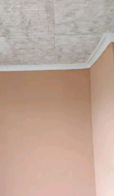 Bachelor s apartment
rental fee: r3300 
dep  in Birch Acres