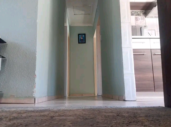 3 bedroom house 💯
*rent : 6300
*deposit   in Birch Acres