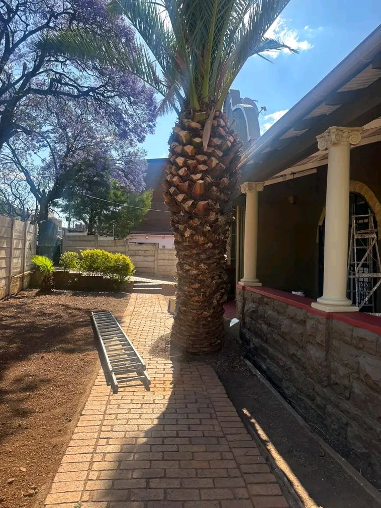 Newly renovated room s to let in bellevue eas  in Yeoville
