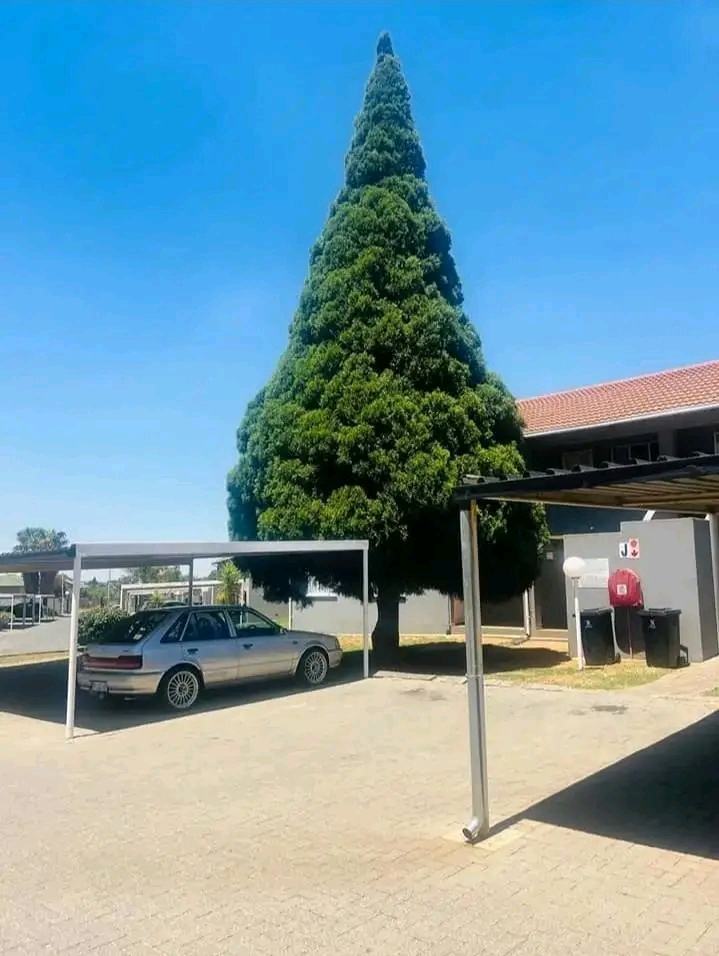 •fitted kitchen with a 4 plate stove 
•f  in Glen Marais Kempton