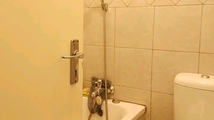 Hi, i have a room available in a two bedroom   in Ferndale