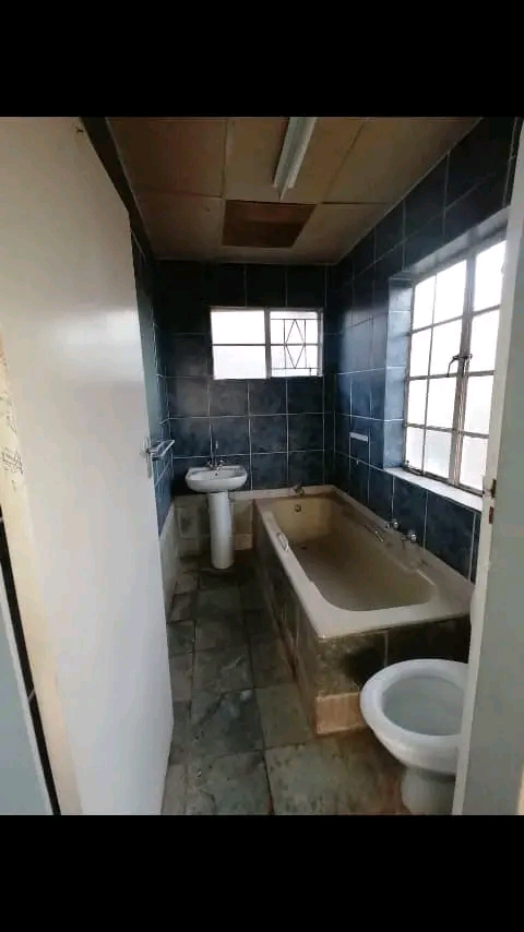 Cottage behind goldman spar 
one bedroom kit  in Florida