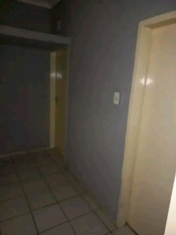 3 bedroom house with 2 bathroom house to let   in Kensington