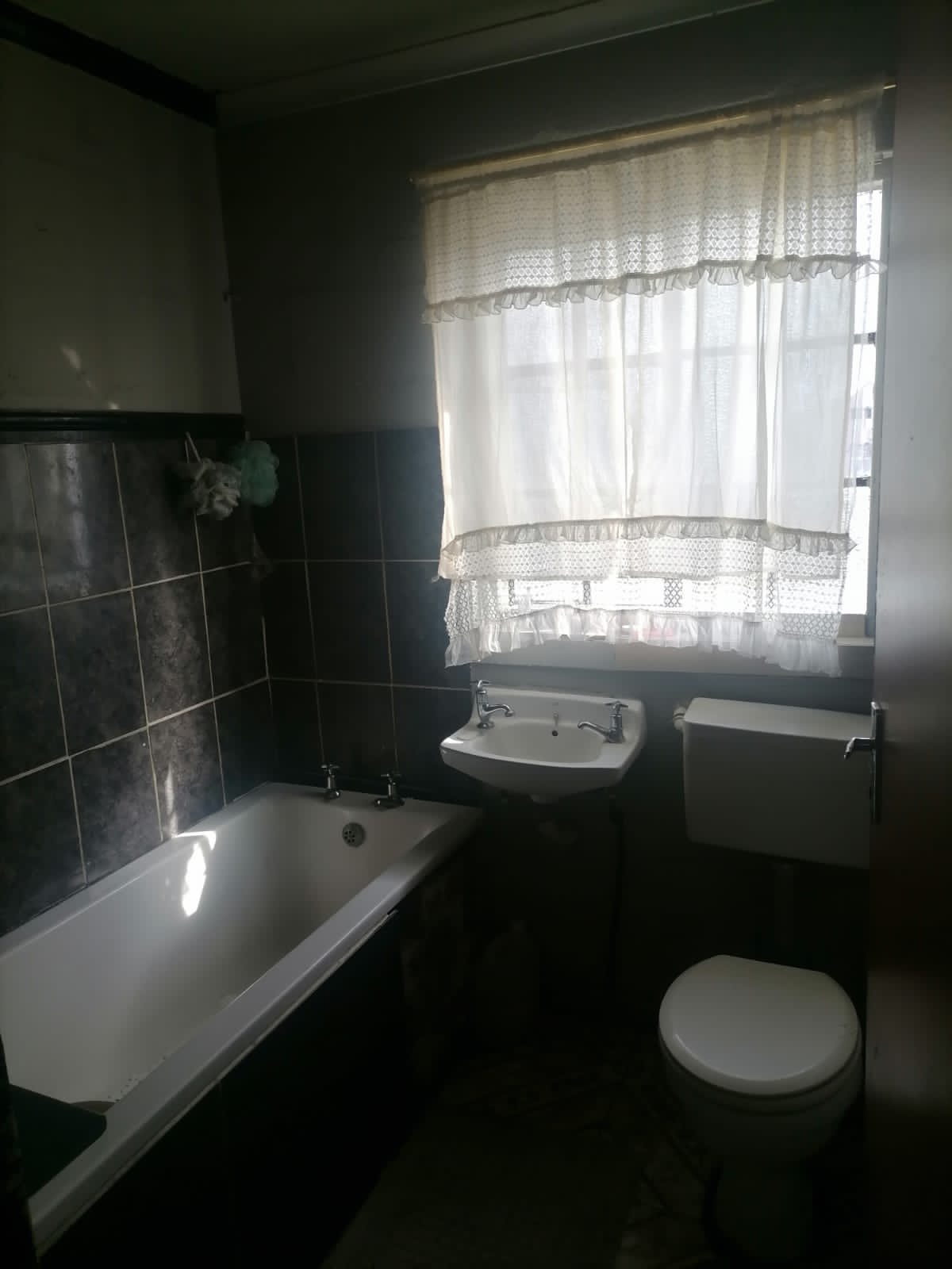 House to rent. avail 1 june 2024 2 bedroom ho  in Cape Town