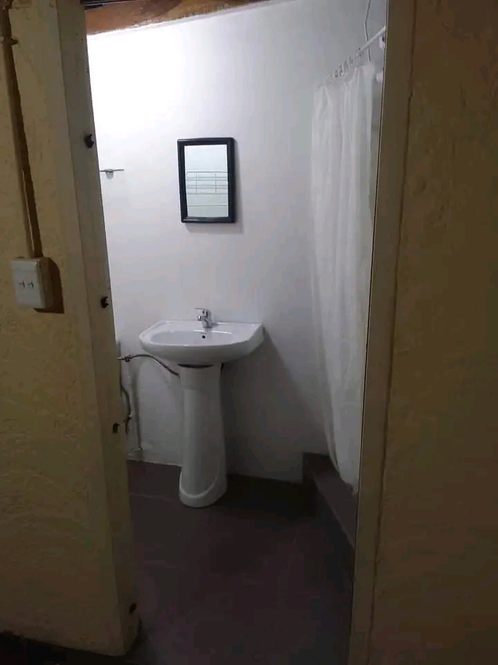 Cottage available starting from saturday 21 g  in Primrose