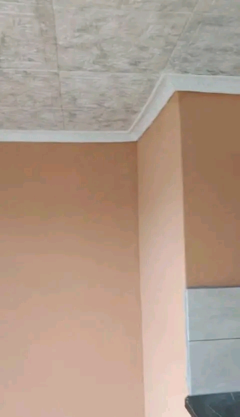 Bachelor s apartment
rental fee: r3300 
dep  in Birch Acres