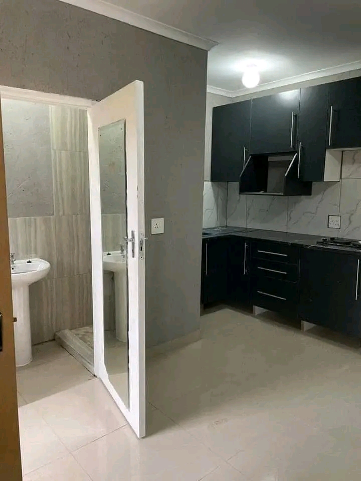 Newly renovated bachelors with open plan kitc  in Birchleigh