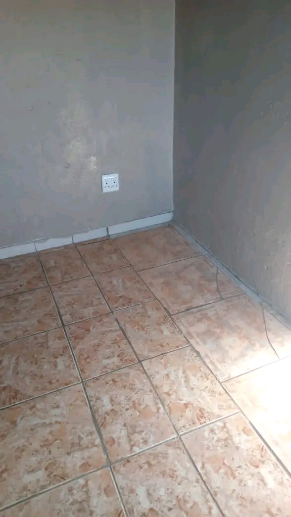 Room available near morris tavern.   in Freedom Park