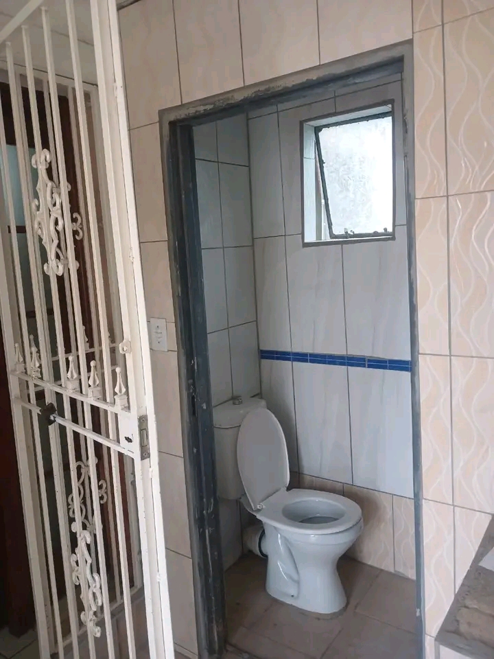 Bachelor available for immediate occupation f  in Kempton Park