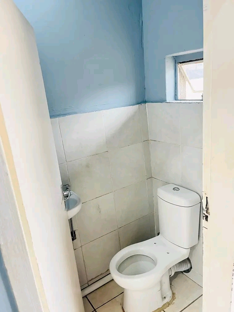 A very beautiful cottage available immediatel  in Kensington