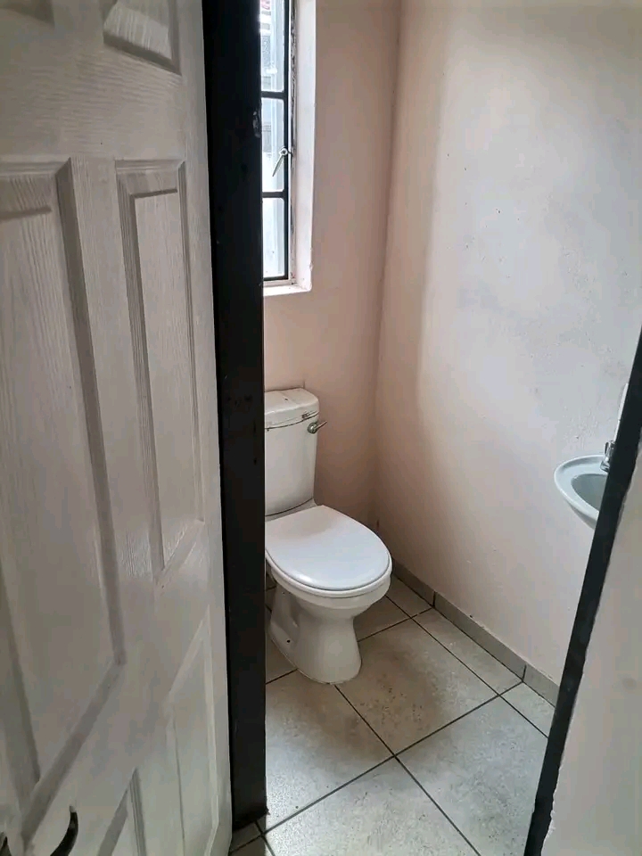 *new rentals ‼️
*available immediately �  in Birch Acres