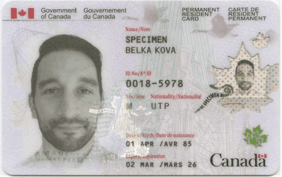  buy canada permanent resident card (whatsapp  in 4fdfd
