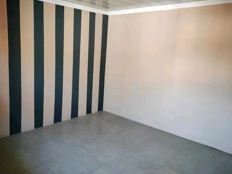 Bachelor room available for rental immediatel  in Nellmaphius