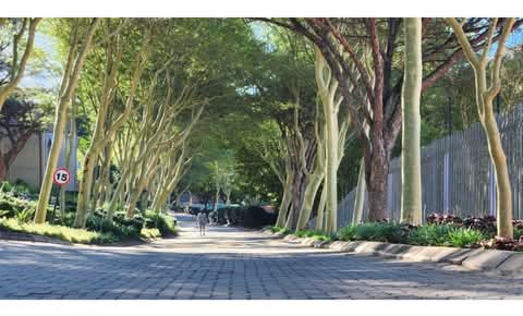 Come home to one of the most beautiful and re  in Constantia Kloof