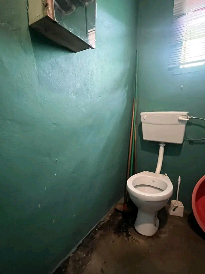 2 bedroom house available immediately to rent  in Ivory Park