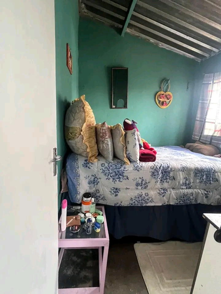 2 bedroom house available immediately to rent  in Ivory Park