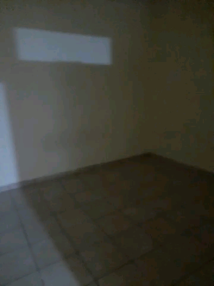 Bachelor available end of august no 53 elsbur  in Delville