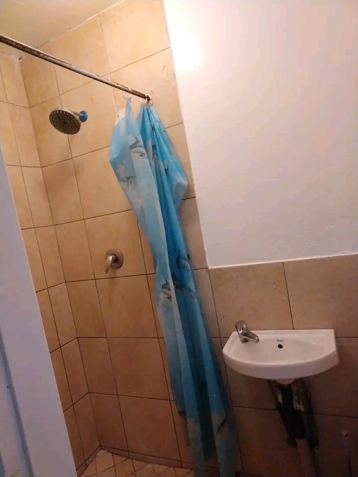 1 bedroom flat in ext 11
tiles and ceiling   in Ebony Park
