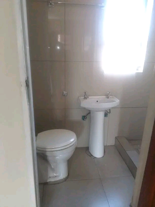 Bachelor available immediately in ex1.
fitte  in Rabie ridge