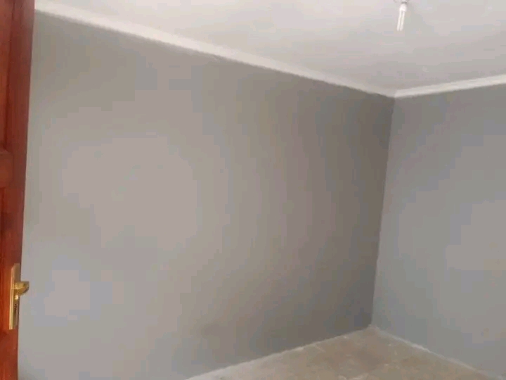 Hello guys  i have a room to let :201 donnell  in Kenilworth