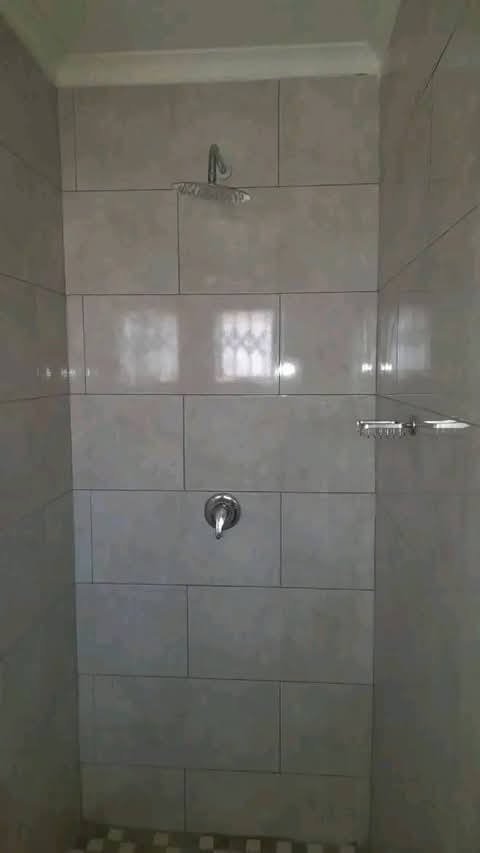 Open plan bachelor available in ext 45 north   in Clayville