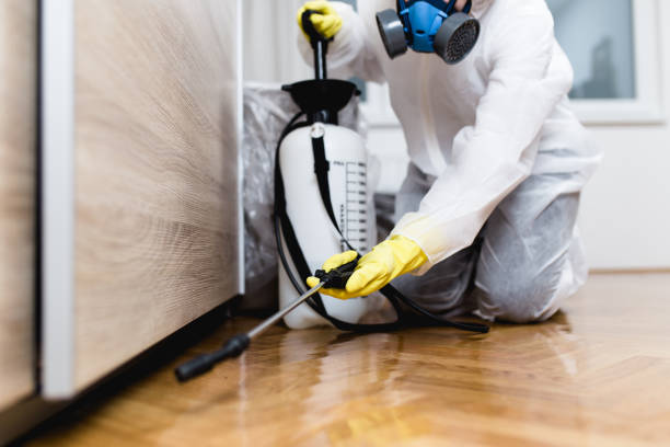  jt solution offers comprehensive pest contro  in Northcliff 