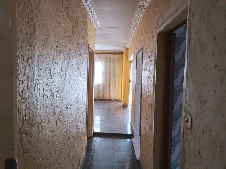 House available for rental in soweto (immedia  in Molestane