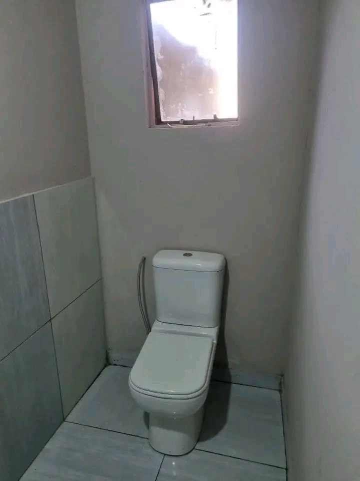 Bachelor available at ext 2 ematsheni.

✅  in Ivory Park