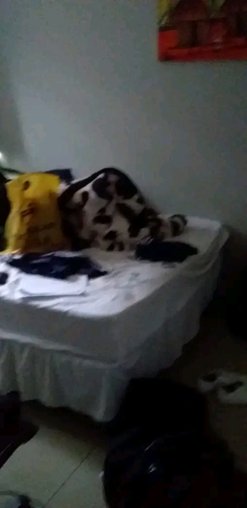 1 bed room cottage to rent intrested person s  in The Hill
