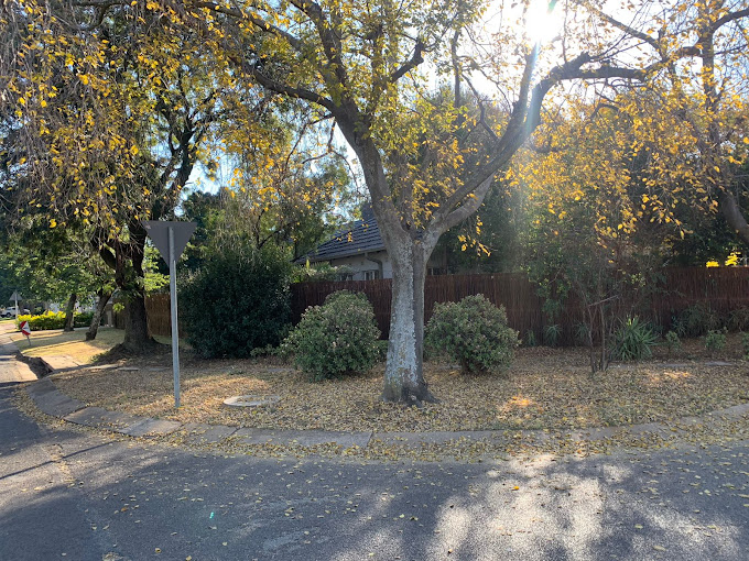 Saba saba guest house weekend special alert a  in Pretoria