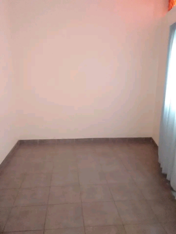Nice spacious room available at 19 marigold r  in Primrose