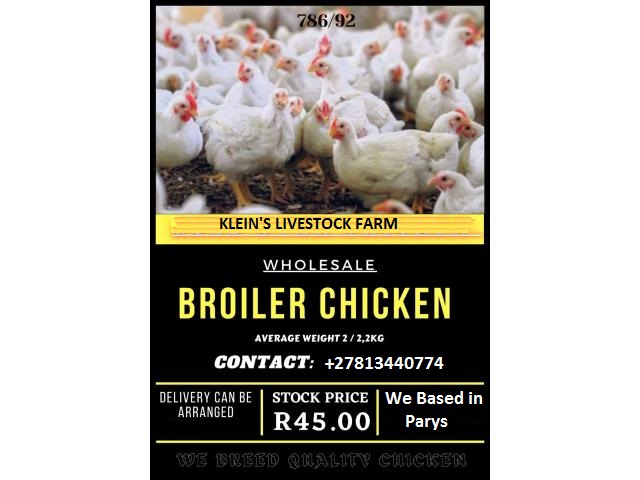  a grade day old broiler chicks
a-grade ross  in Brits