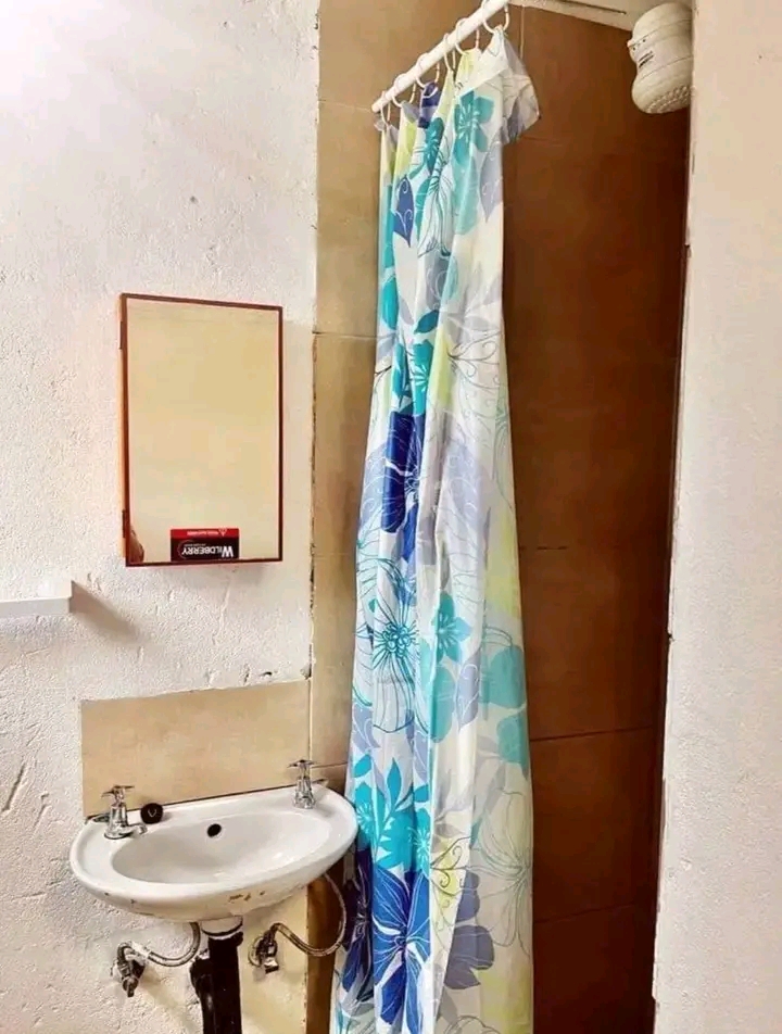 We have a batchelor room available behind sho  in Allandale