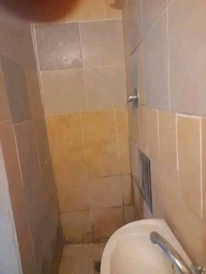Spacious bachelor to let in stanhope road
r3  in Wychwood