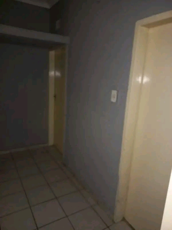 3 bedroom house with 2 bathroom house to let   in Kensington