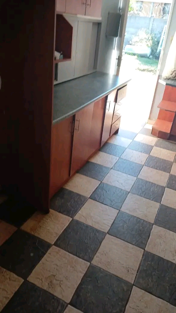 - 2 bedroom house available to rental at zone  in Pimville
