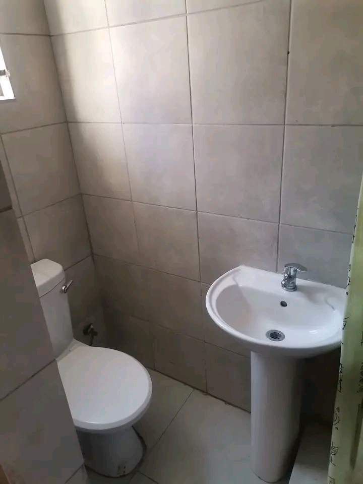 Open plan bachelor 
 available immediately �  in Birch Acres