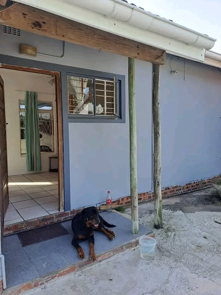 1 bedroom garden cottage available immediatel  in Queensburgh