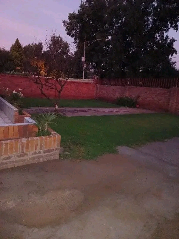 3 bedroom house with 2 bathroom house to let   in Kensington