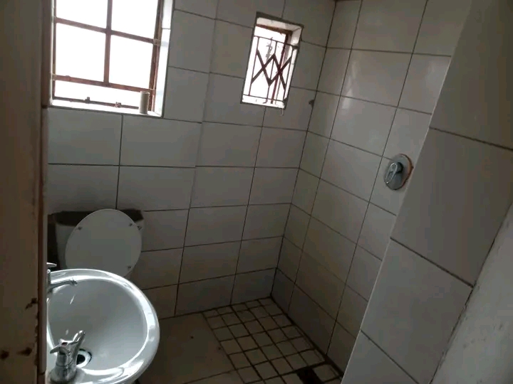 Cozy bachelor flat for rent 
- location: (ju  in Birch Acres
