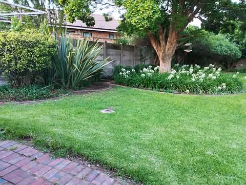 Beautiful 3 bedroom home to rent  comfortably  in Springs