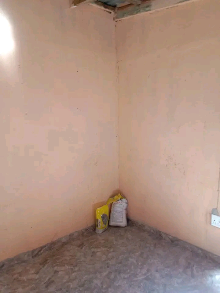 Room available at ivory park 3 ma10
swaz in   in Ivory Park