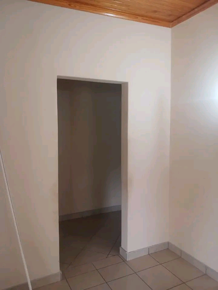 Bachelor available for immediate occupation f  in Kempton Park