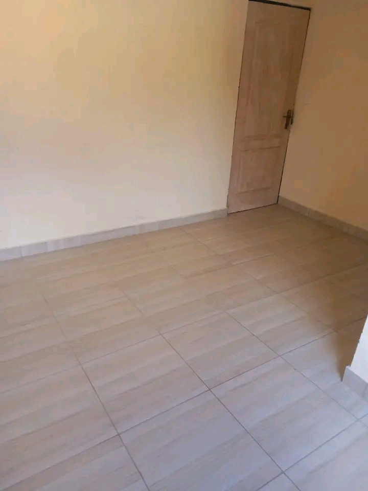 Hello everyone i have a room available to ren  in Alexandra