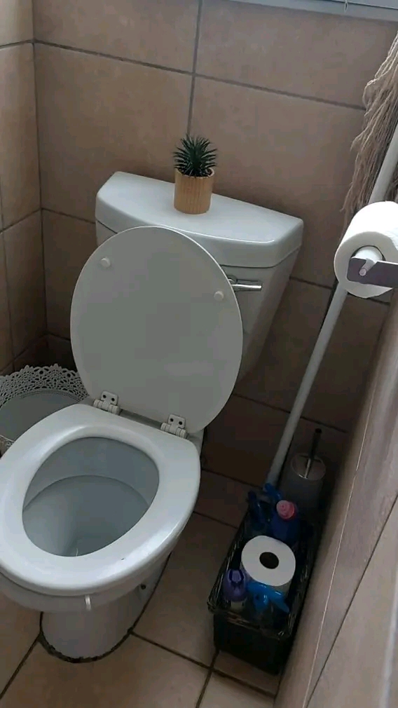 Bachelor to let. comes with cupboards, sink,   in Birch Acres