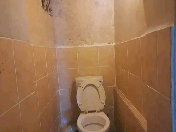 Spacious bachelor to let in stanhope road
r3  in Wychwood