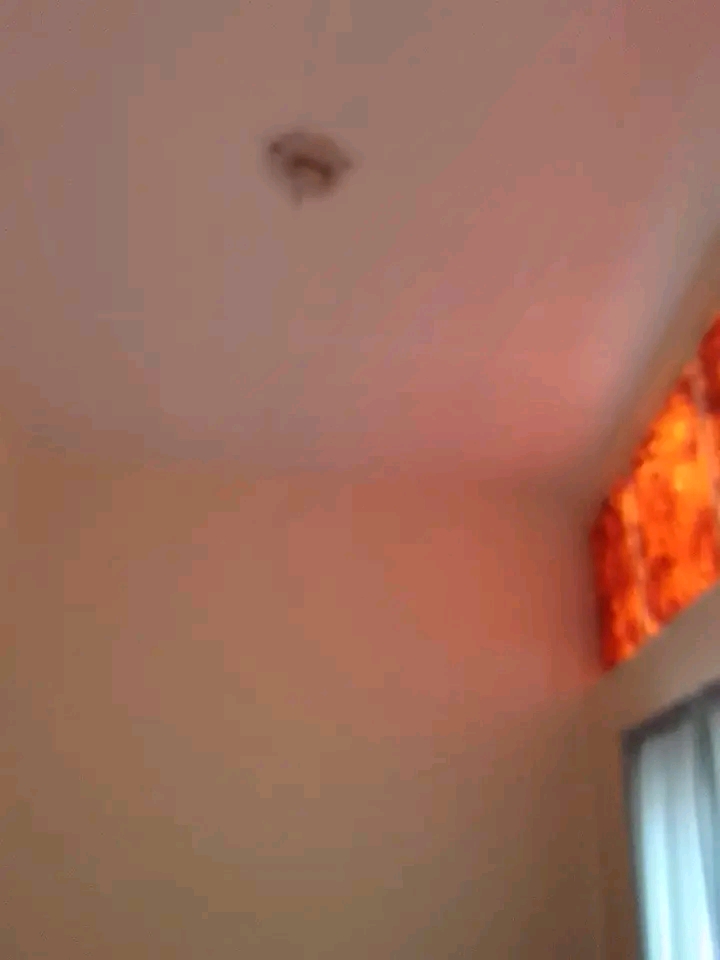 Nice spacious room available at 19 marigold r  in Primrose
